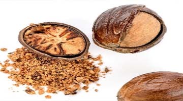 Nutmeg with Shell
